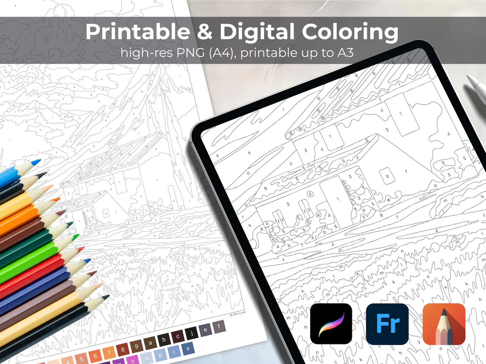 Lavender Field Paint by Number | Digital & Printable Coloring Page | PNG iPad Procreate thumbnail 4