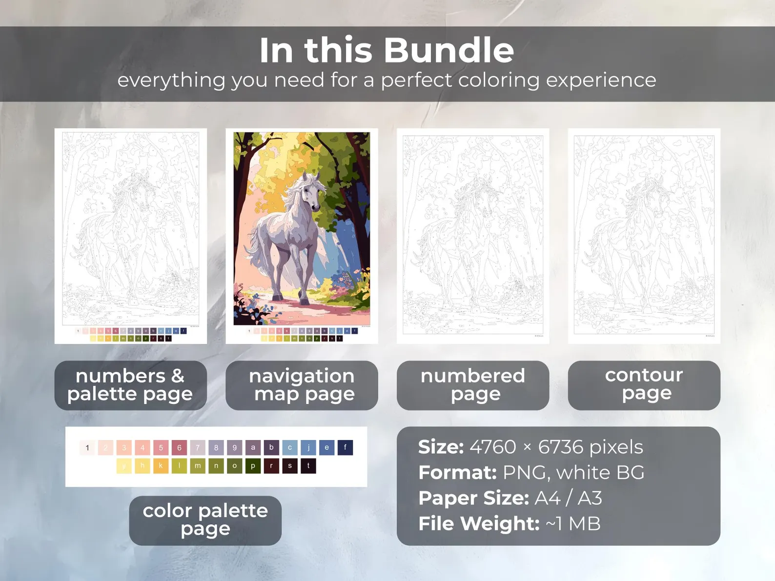 White Horse Paint by Number | Digital Coloring Page | Printable & Tablet Coloring | Detailed Sheet PNG thumbnail 2