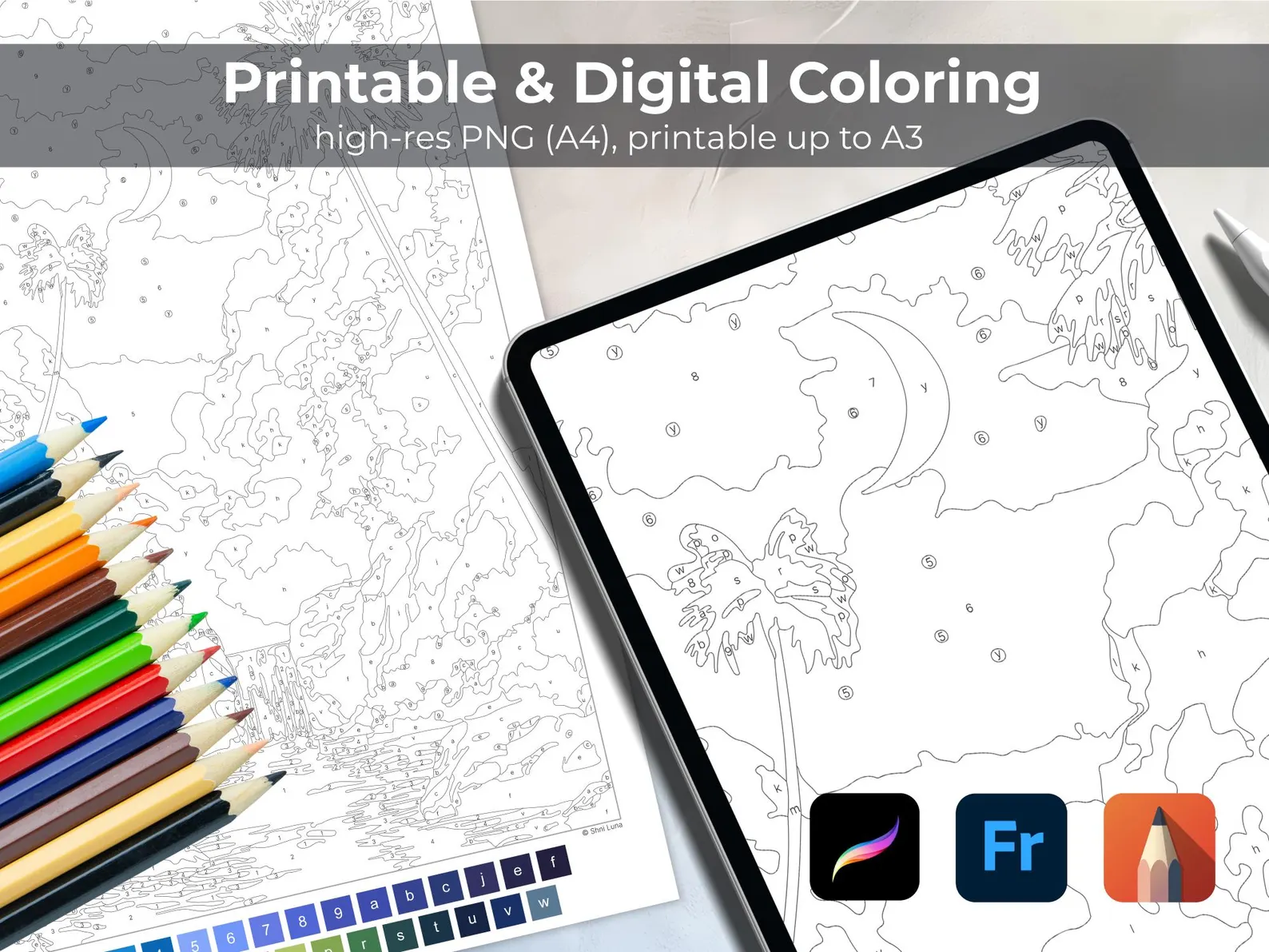 6 Paint by Number Coloring Pages for Adults | Digital Bundle for Tablet | Floral, Animal & Landscape Printable Collection | PNG Sheets thumbnail 5