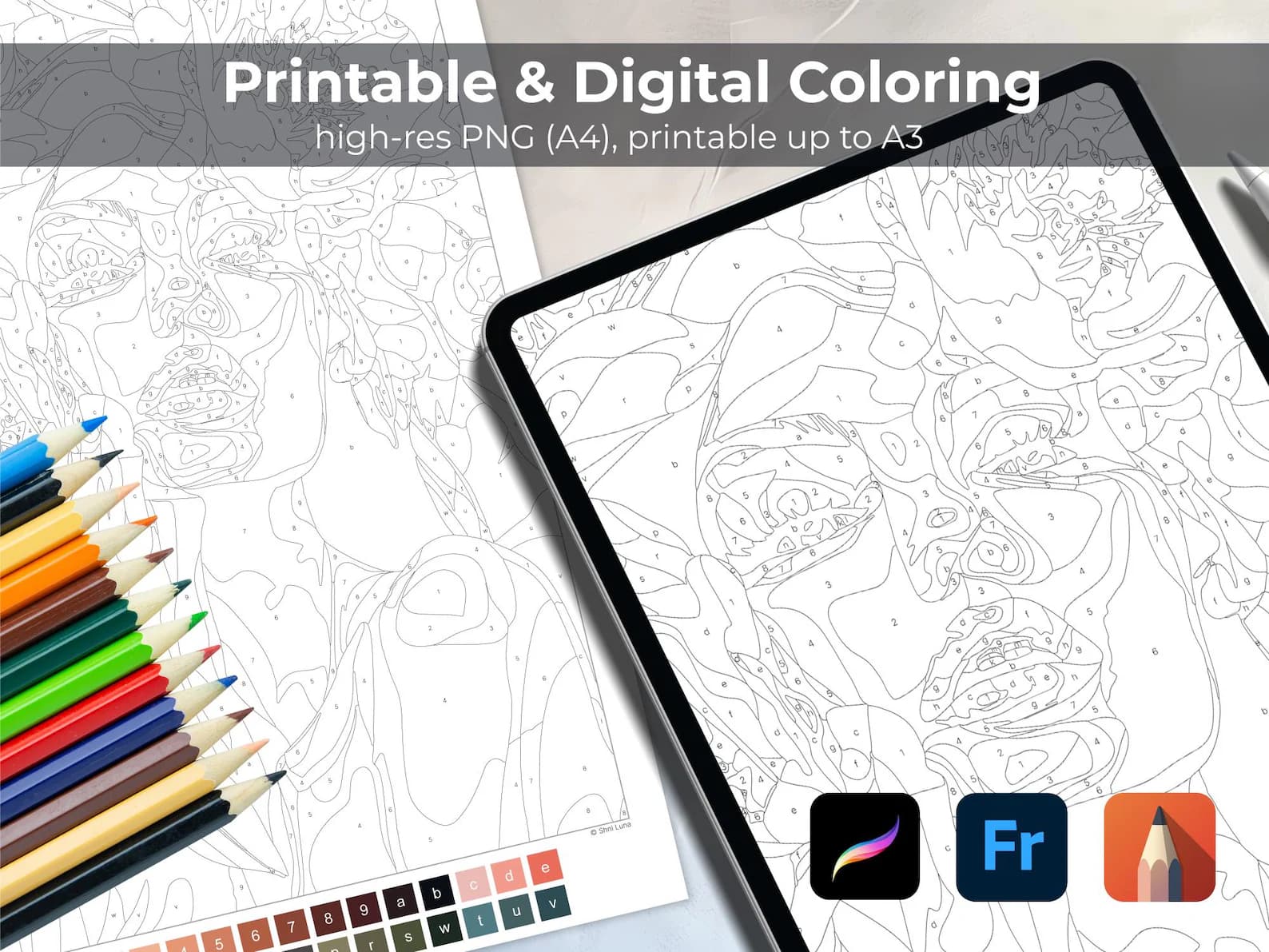 10 Paint by Number Coloring Pages for Adults | Digital Bundle for Tablet | Floral, Animal & Landscape Printable Art Collection thumbnail 5