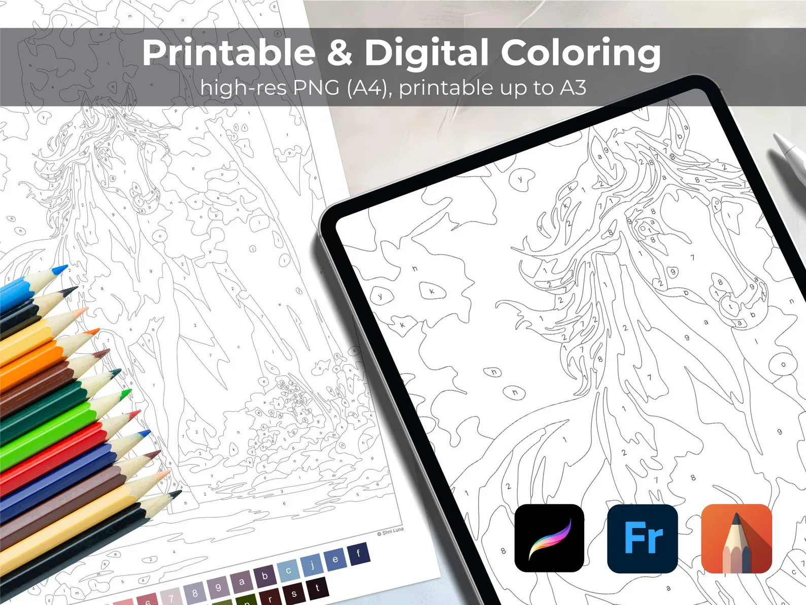 6 Paint by Number Coloring Pages for Adults | Digital Bundle for Tablet | Floral, Animal & Landscape Printable Collection | PNG Sheets 2 thumbnail 5