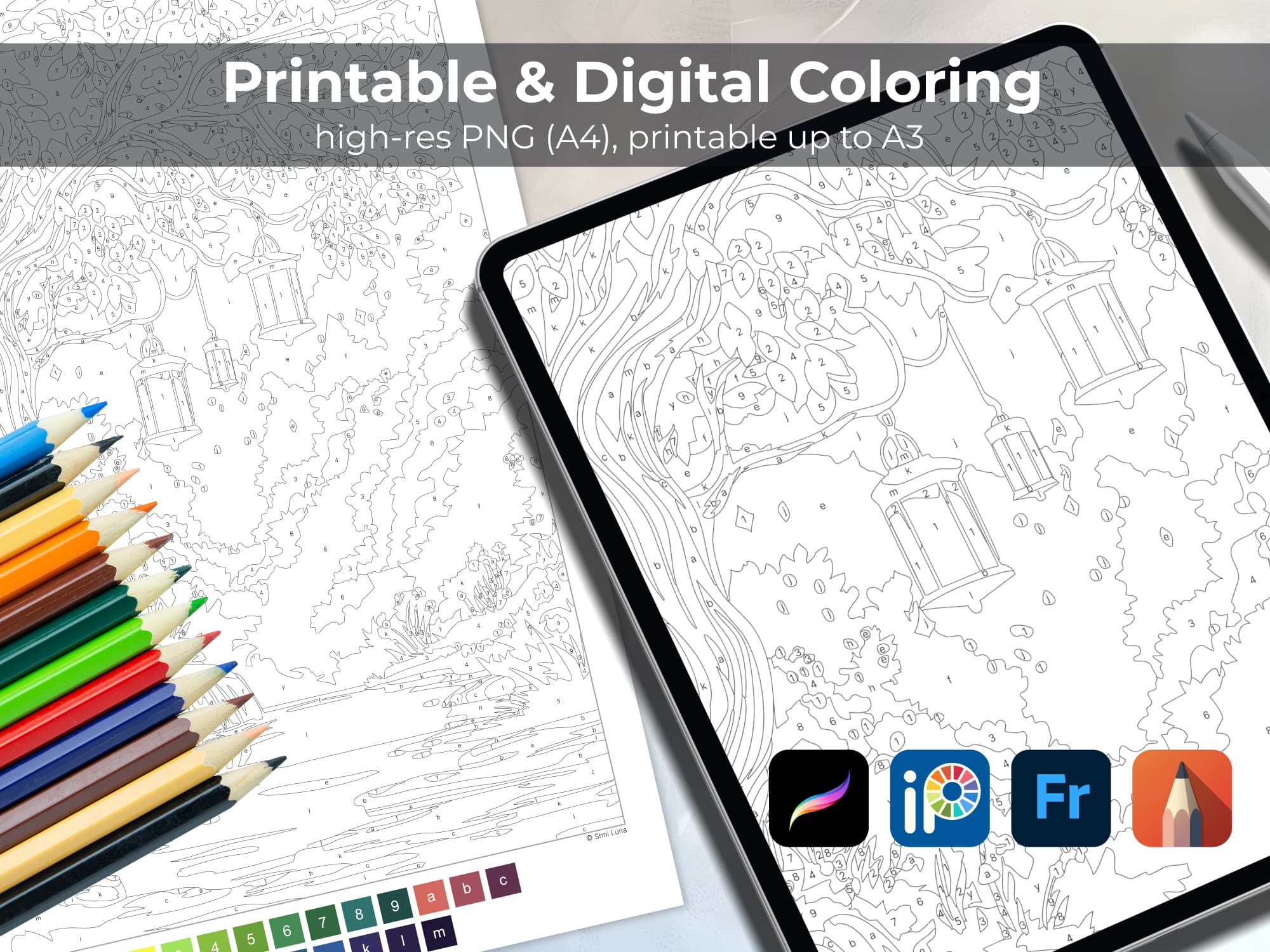 Lantern Tree - Image 4