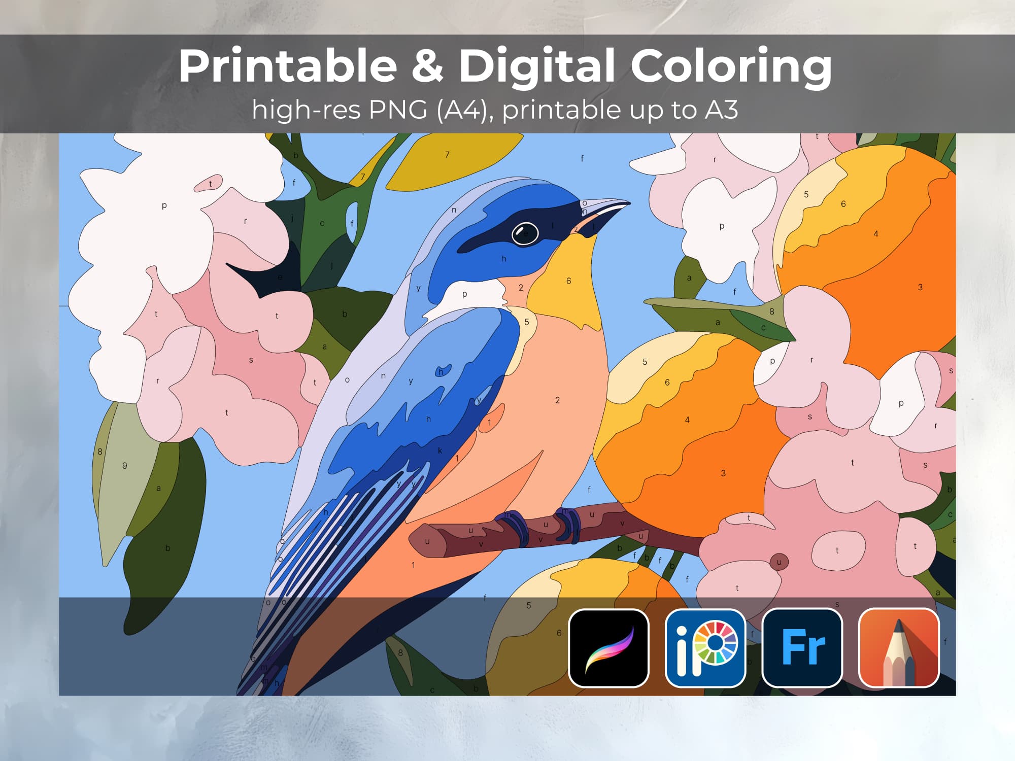 Spring Bird - Image 3