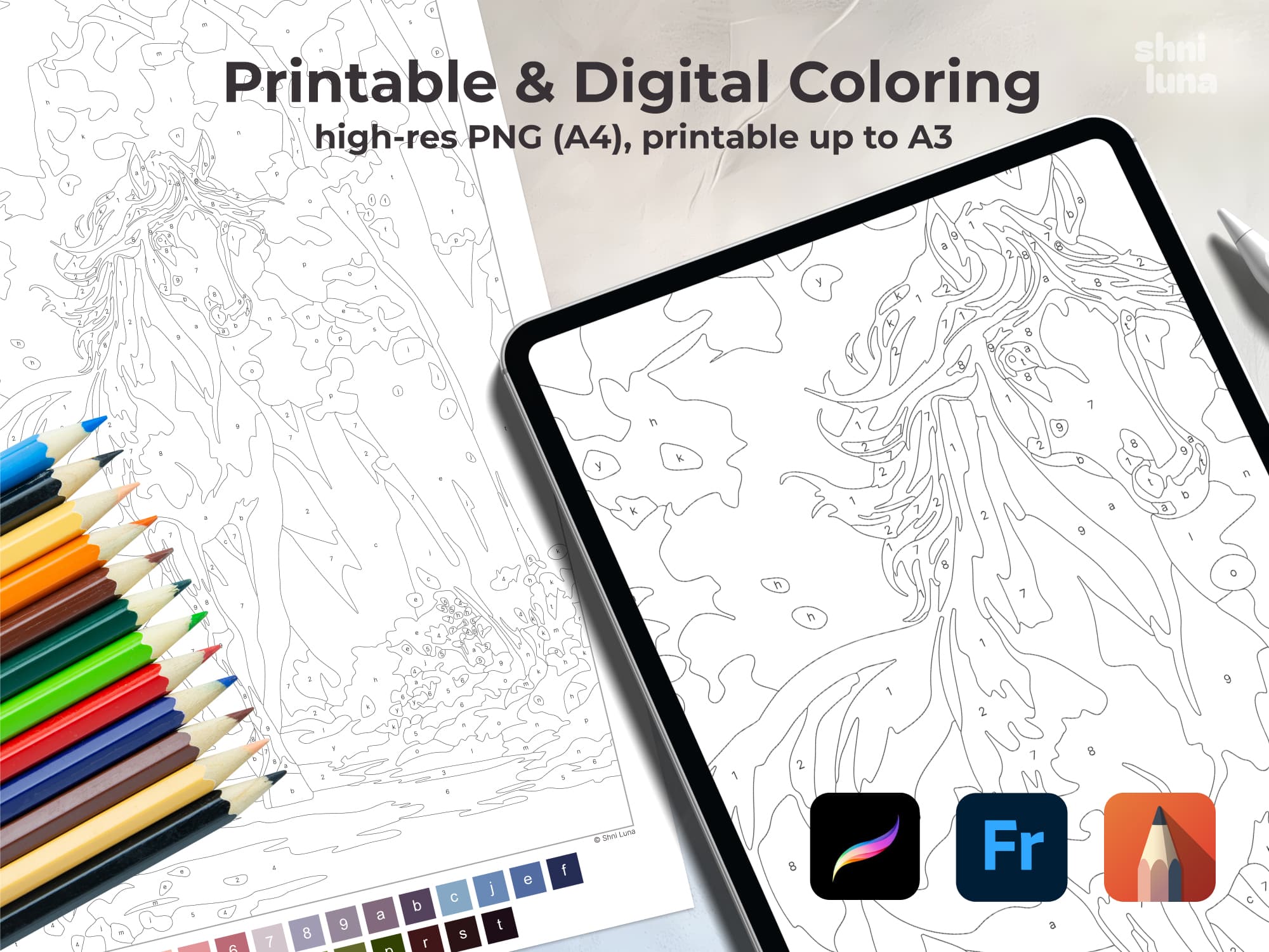 White Horse  - Image 4