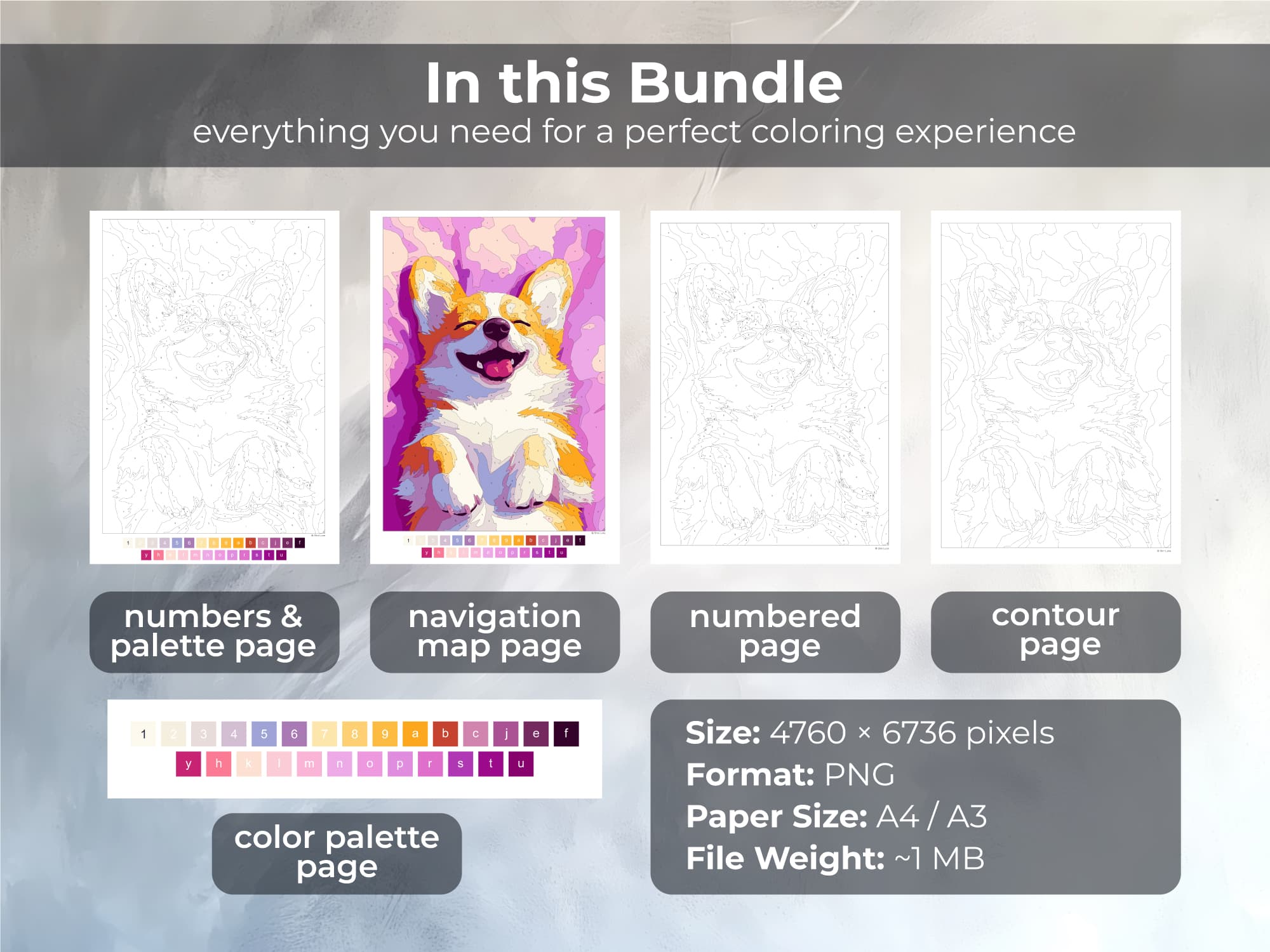 Smiling Corgi - Image 2