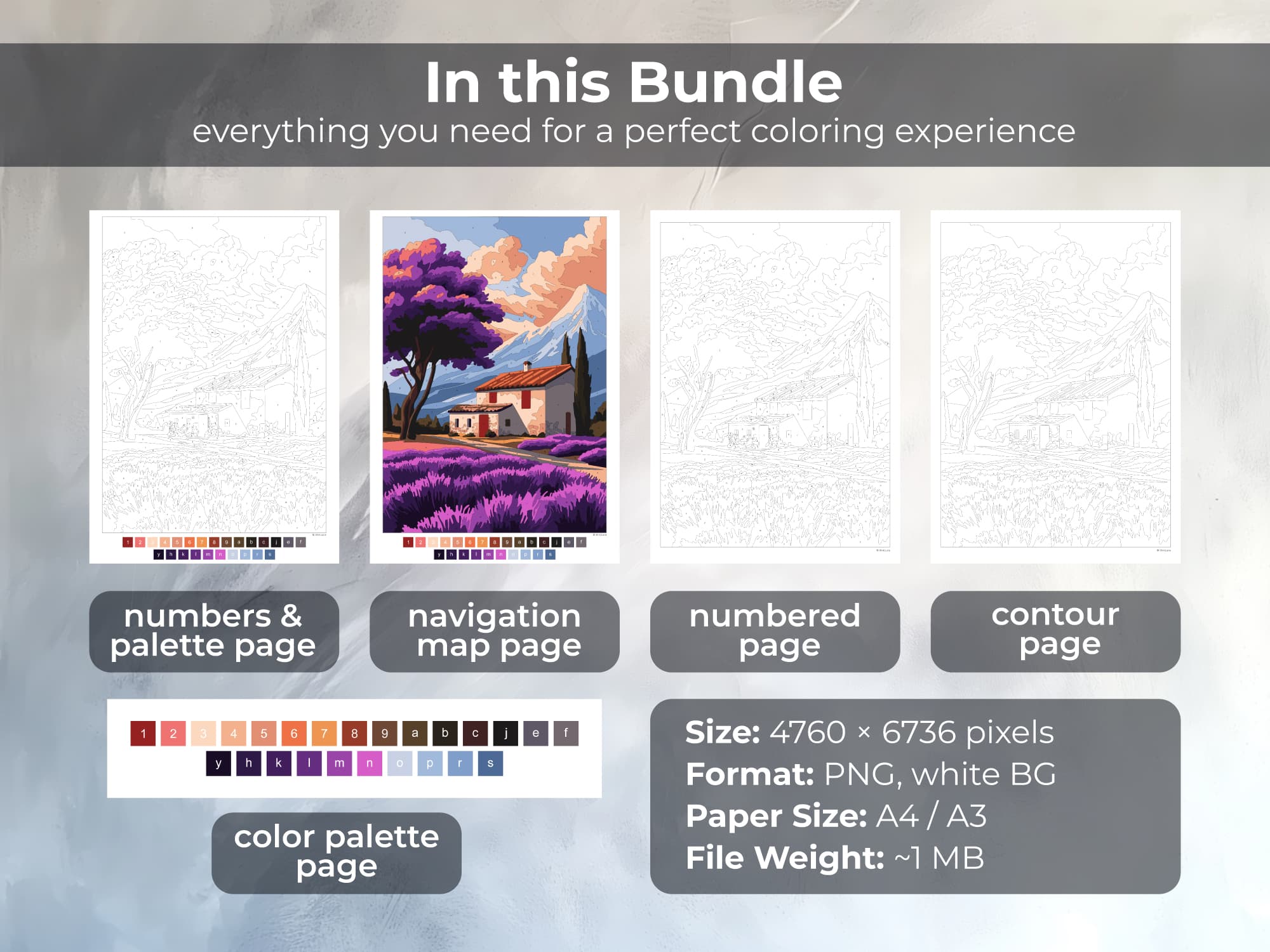 Lavender Field  - Image 2