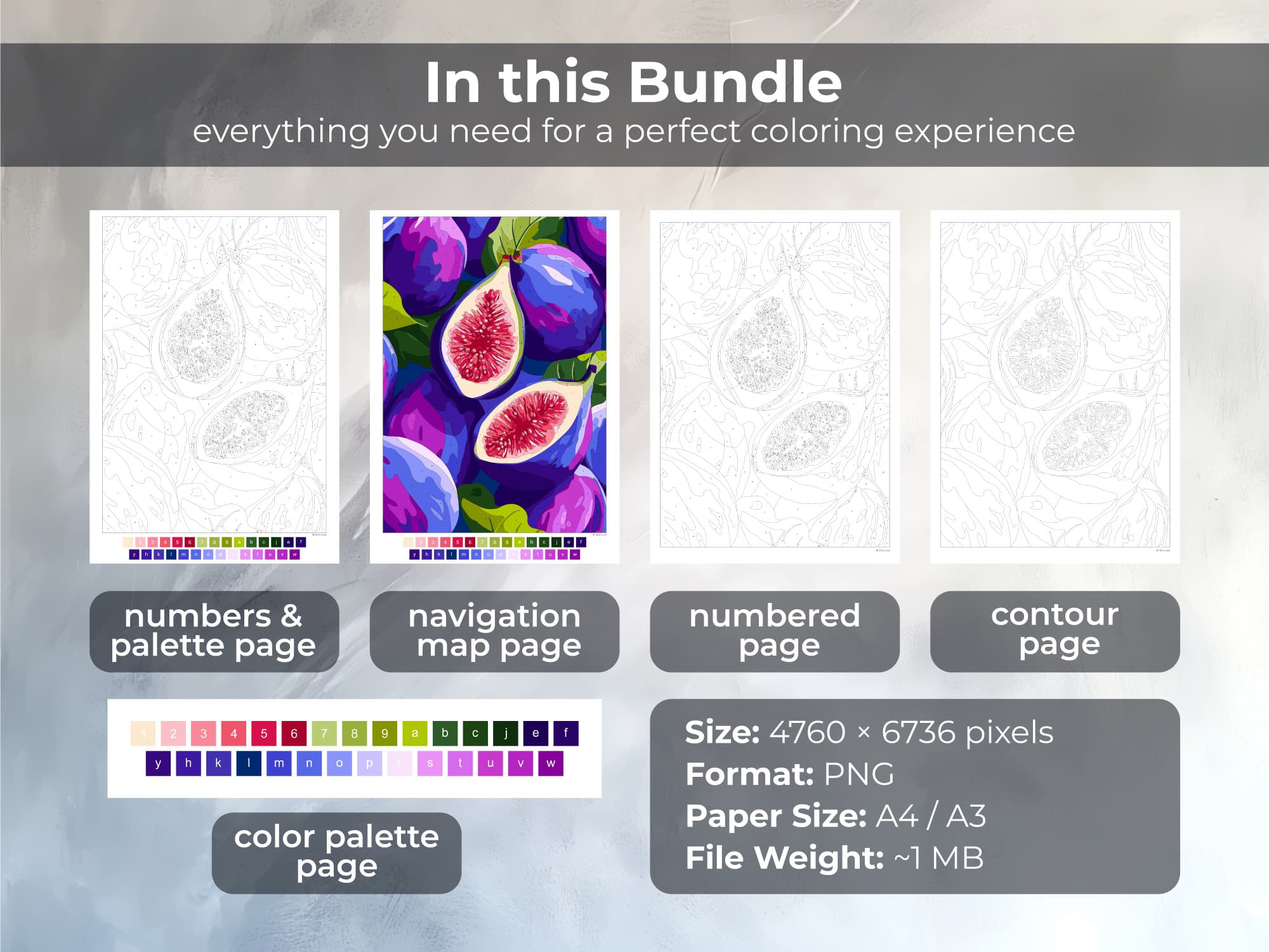 Purple Figs - Image 2