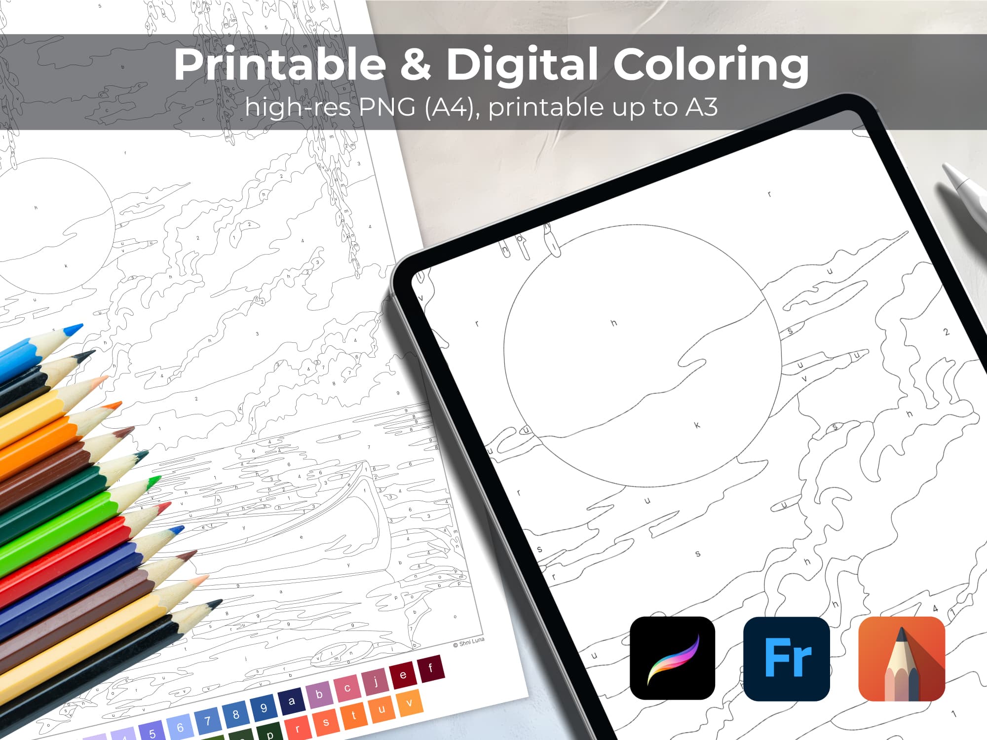 Golden Sunset  - Image 3