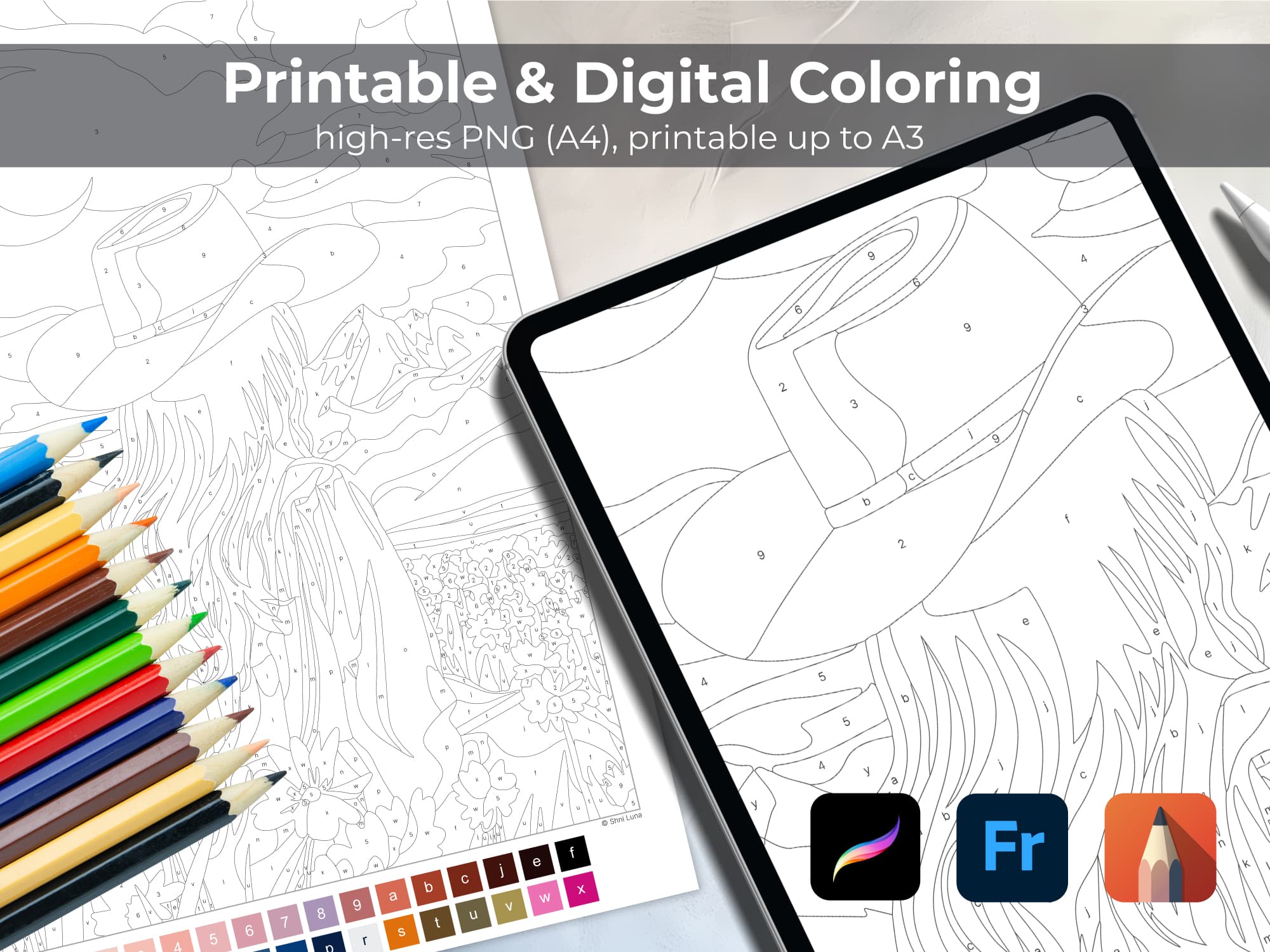 Mountain Cowgirl - Image 4