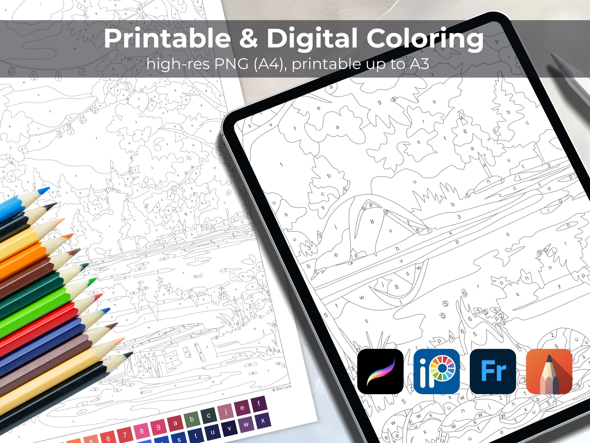 Autumn Campfire - Image 5