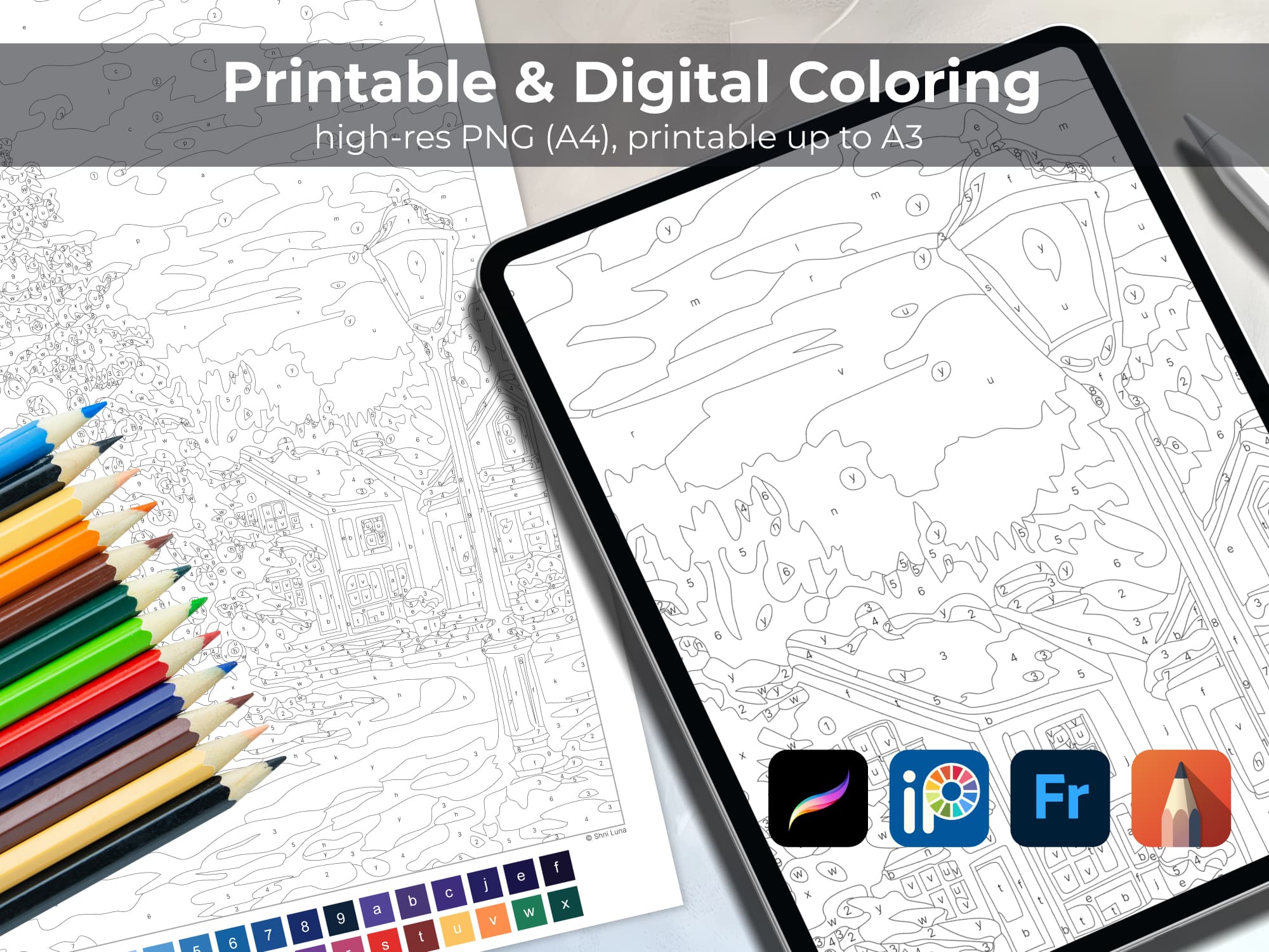 Snowy Evening - Image 5