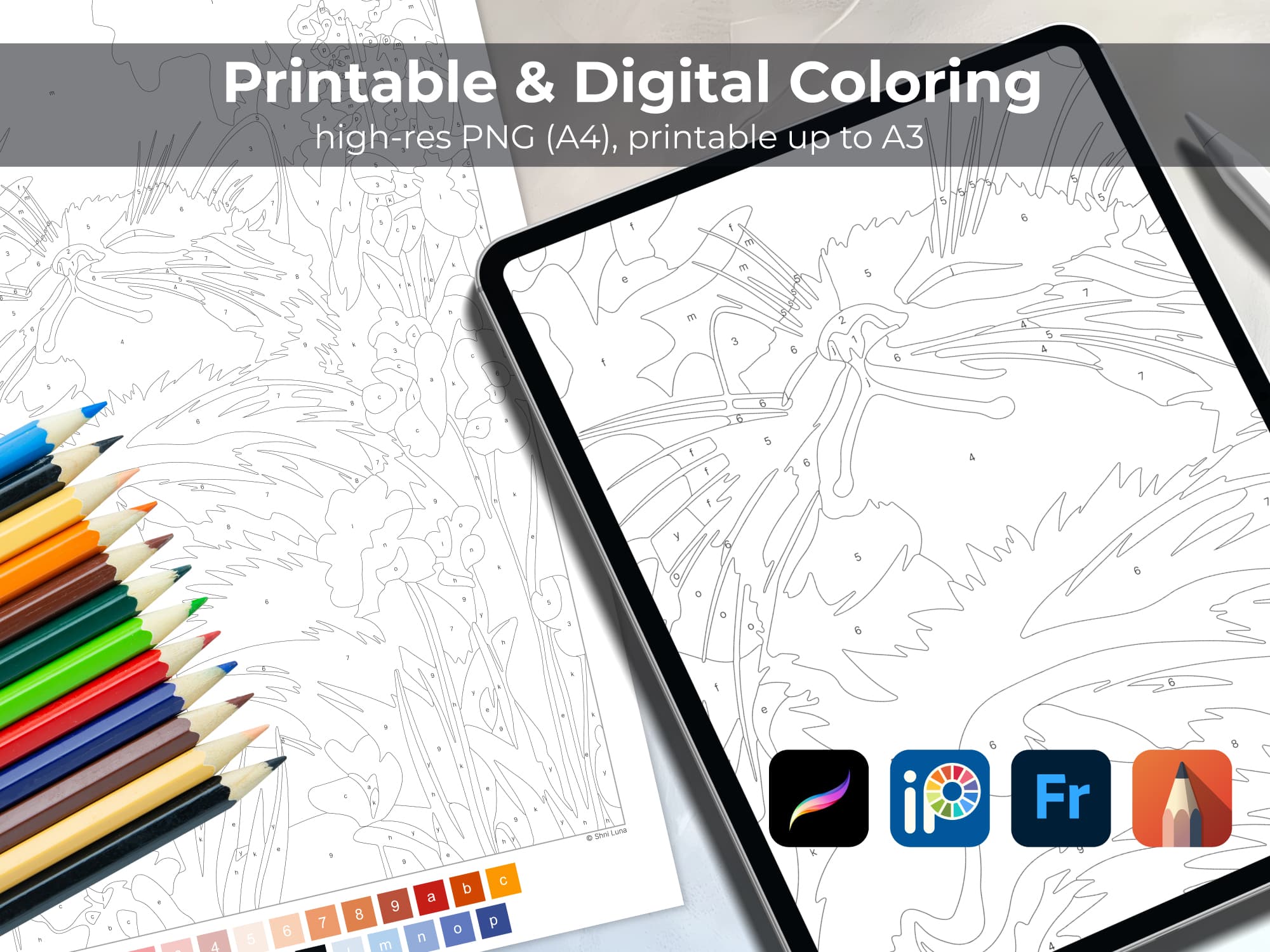 Meadow Cat - Image 4