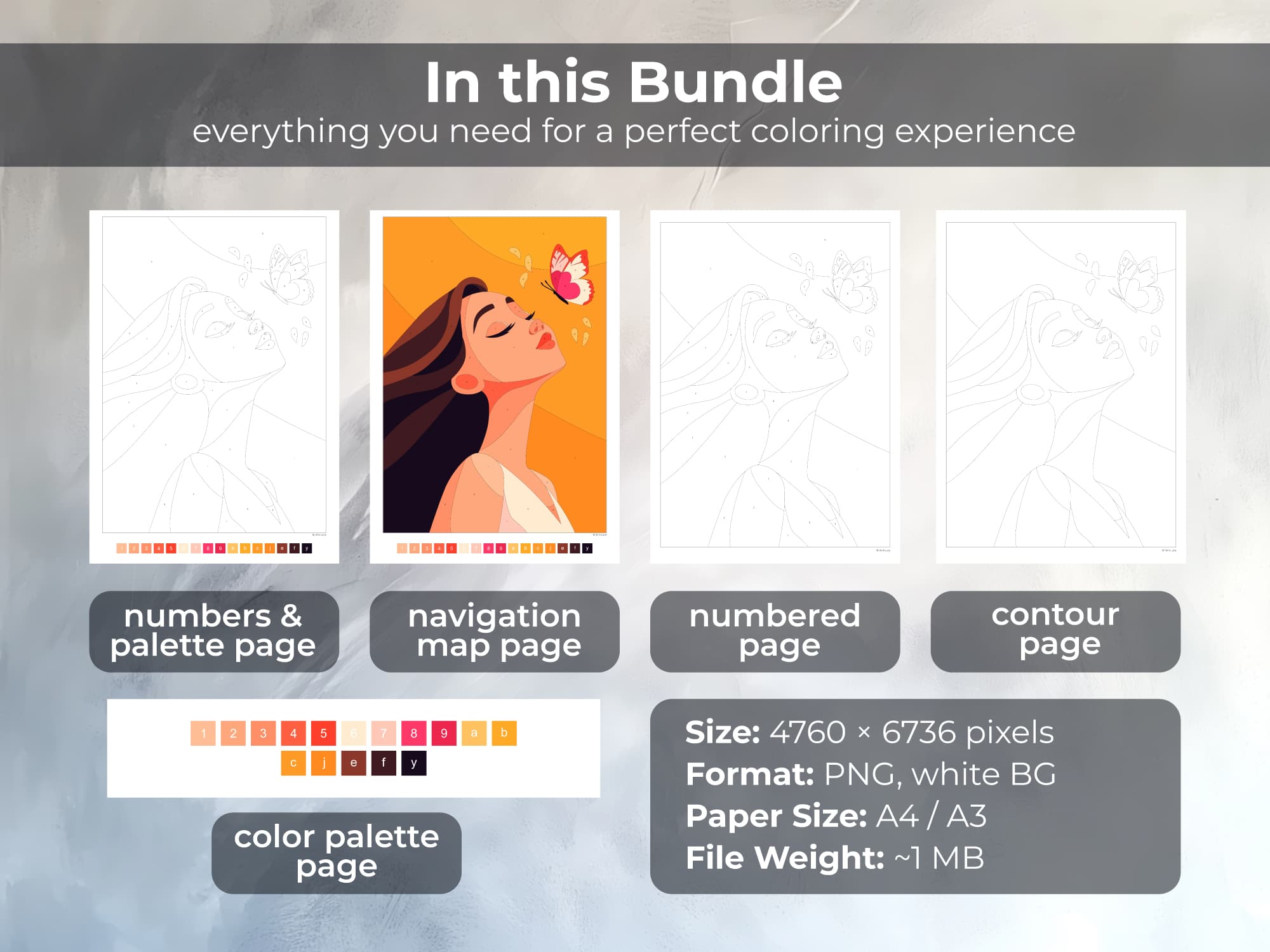 Princess Liora - Image 2