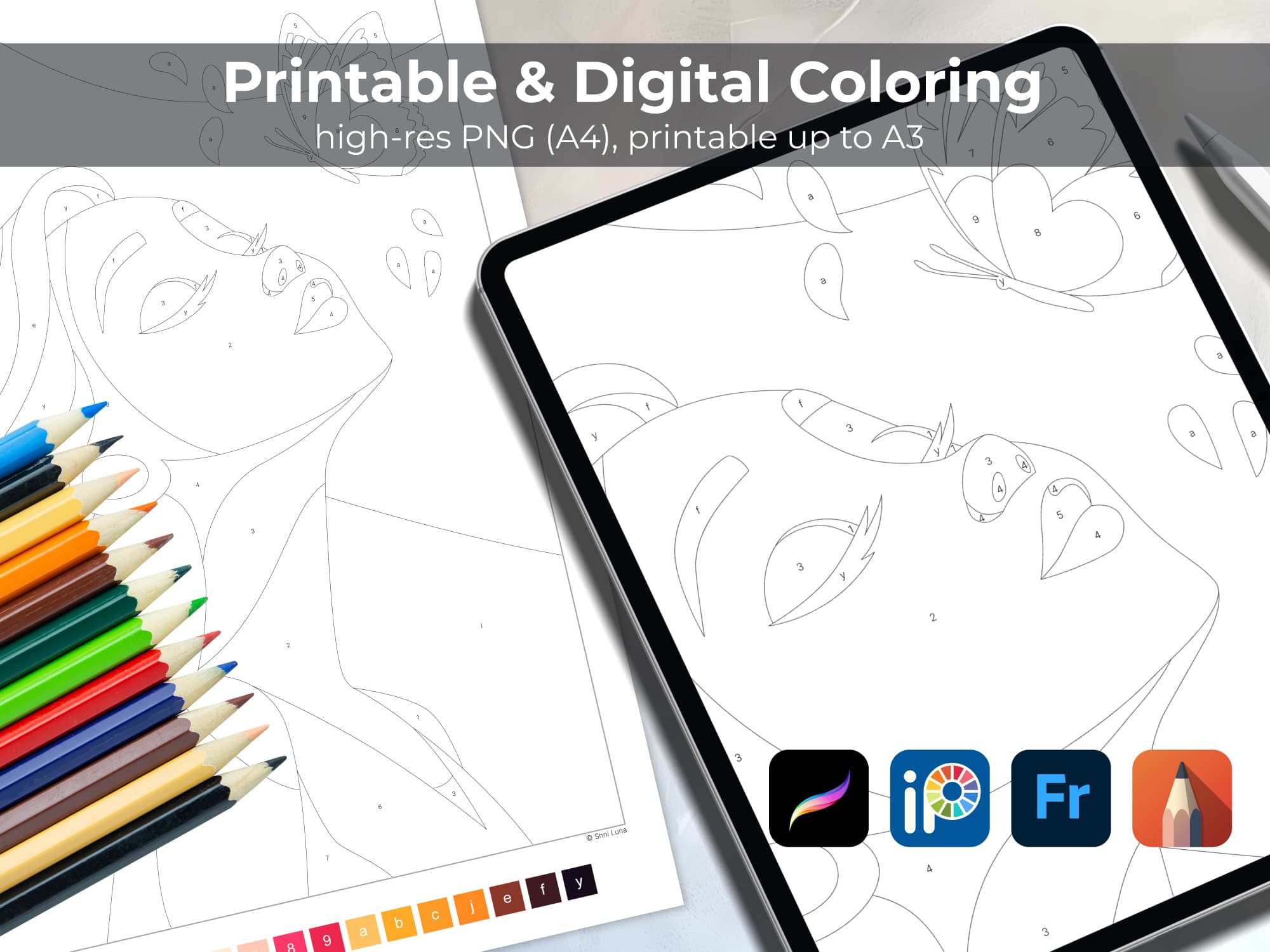 Princess Liora - Image 4