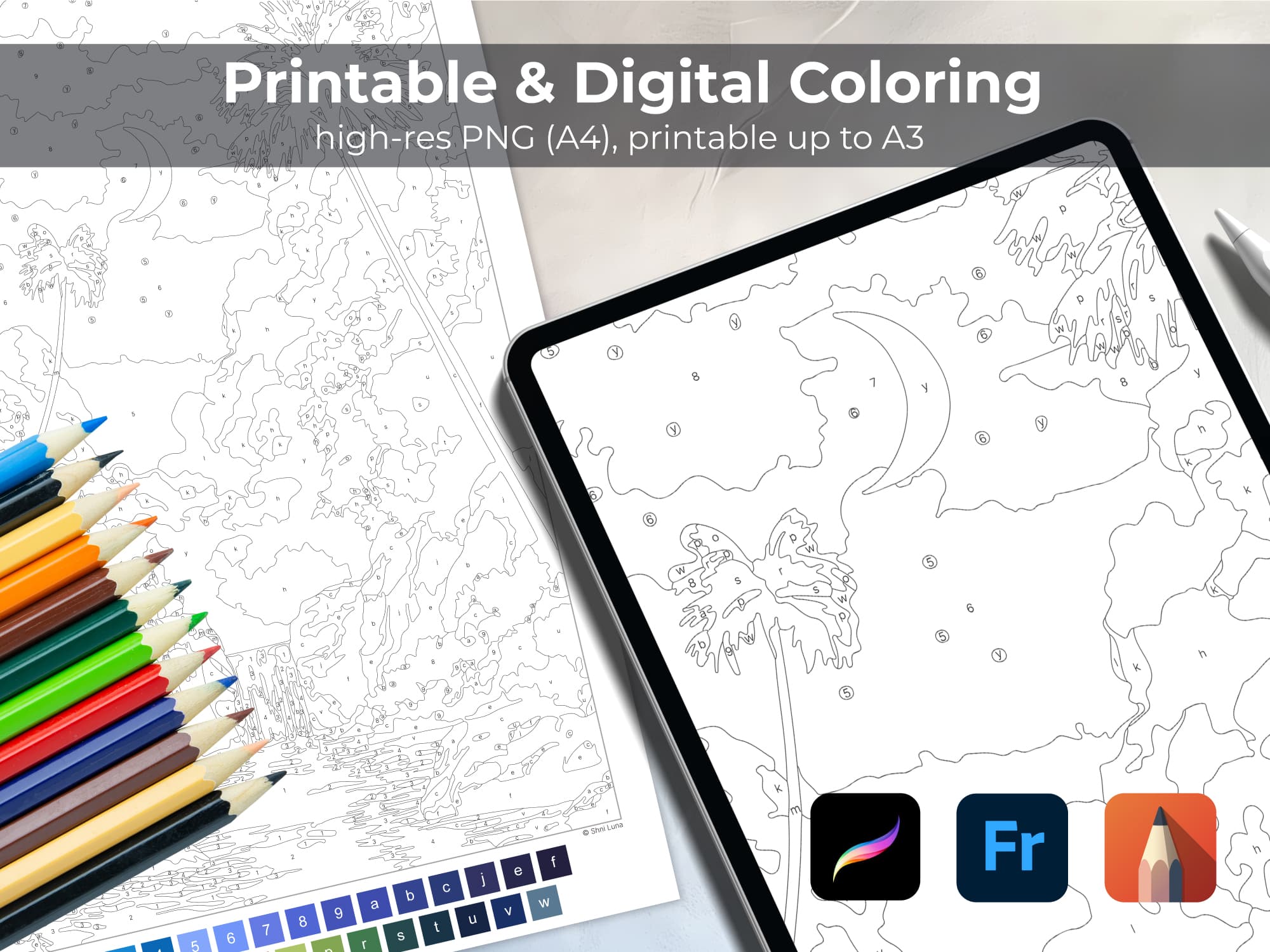 Color Journey | 6 pages - Image 5