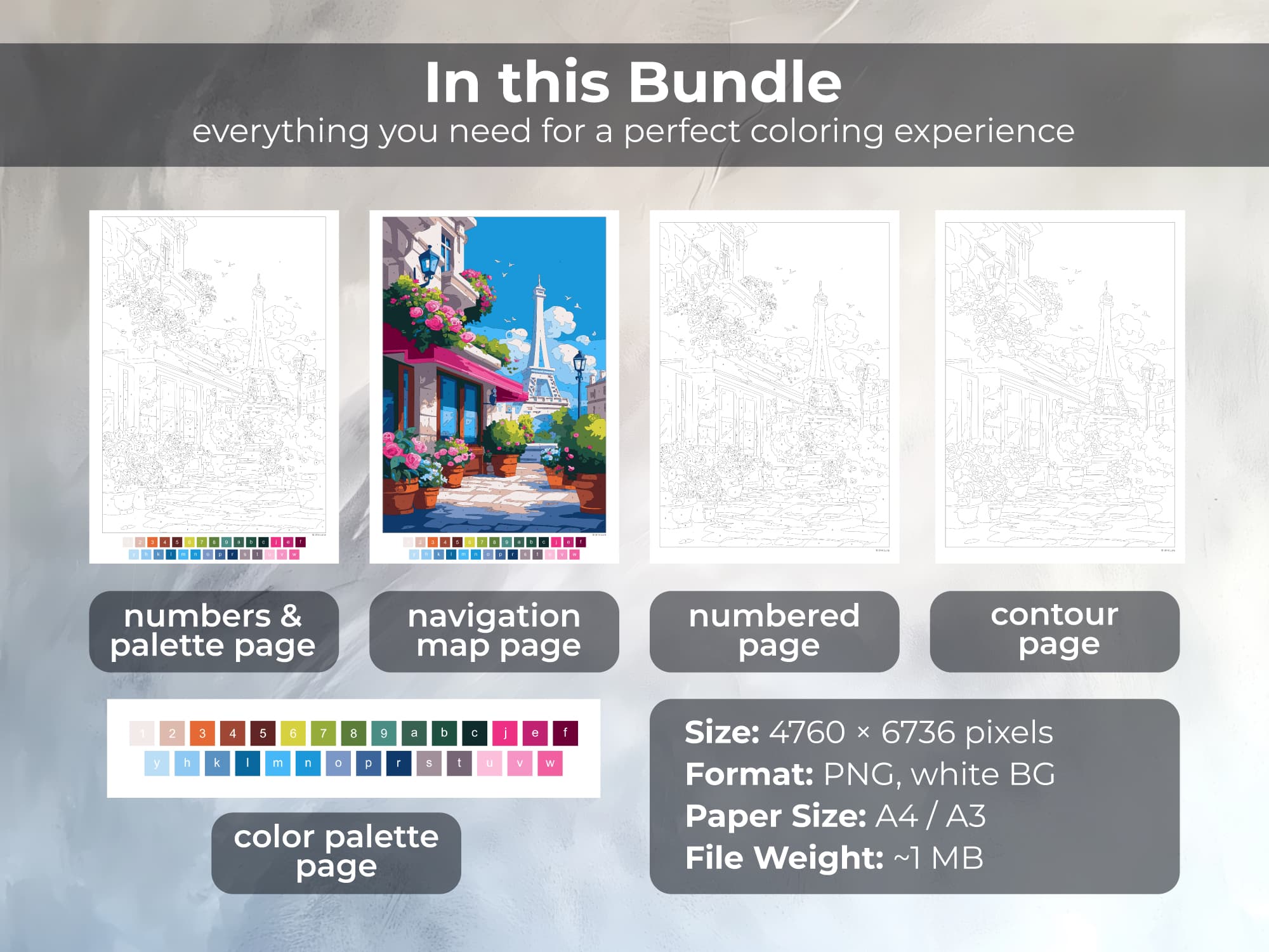 Paris Morning - Image 3